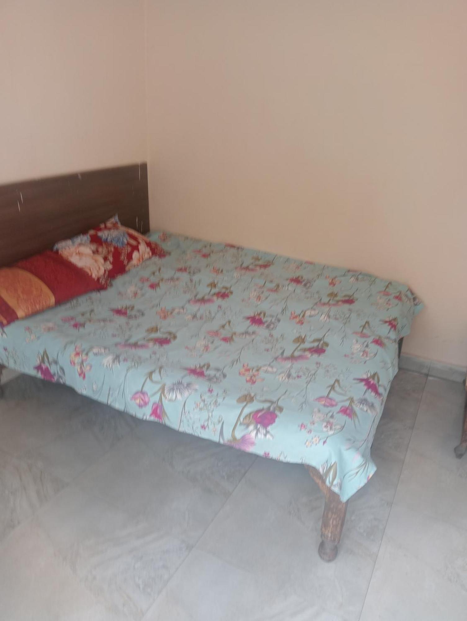 ניו דלהי Ever Green Guest House Travel & Pg מראה חיצוני תמונה